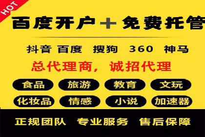 SEM代运营经典案例解析与启示